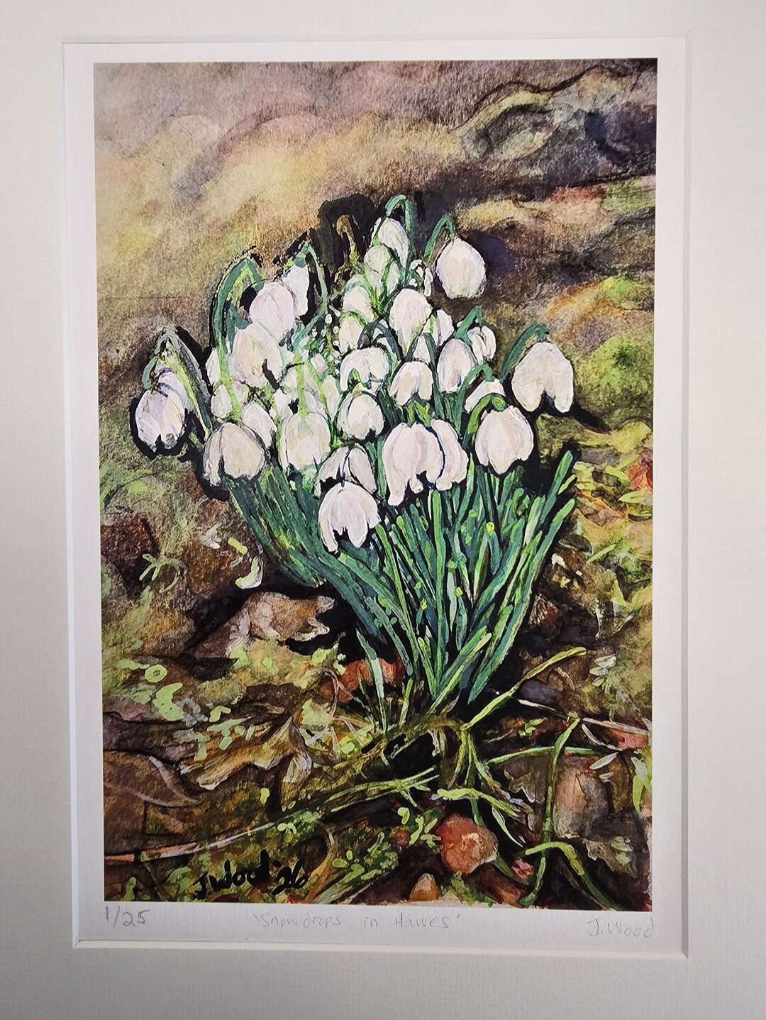Mounted A4 limited-edition giclée print with certificate of authenticity.