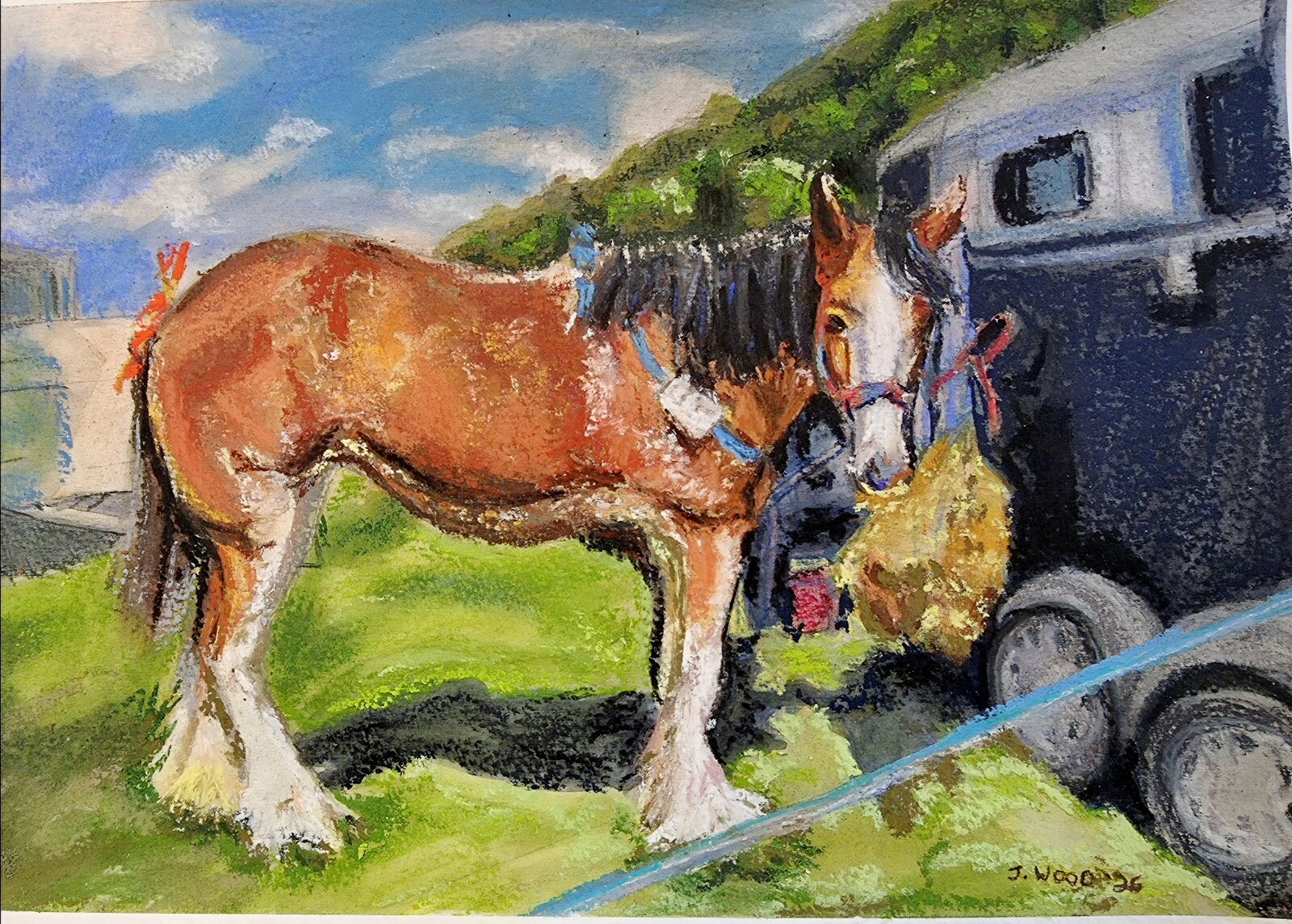 Young Shire Horse at the Honley Show by Jenn Wood