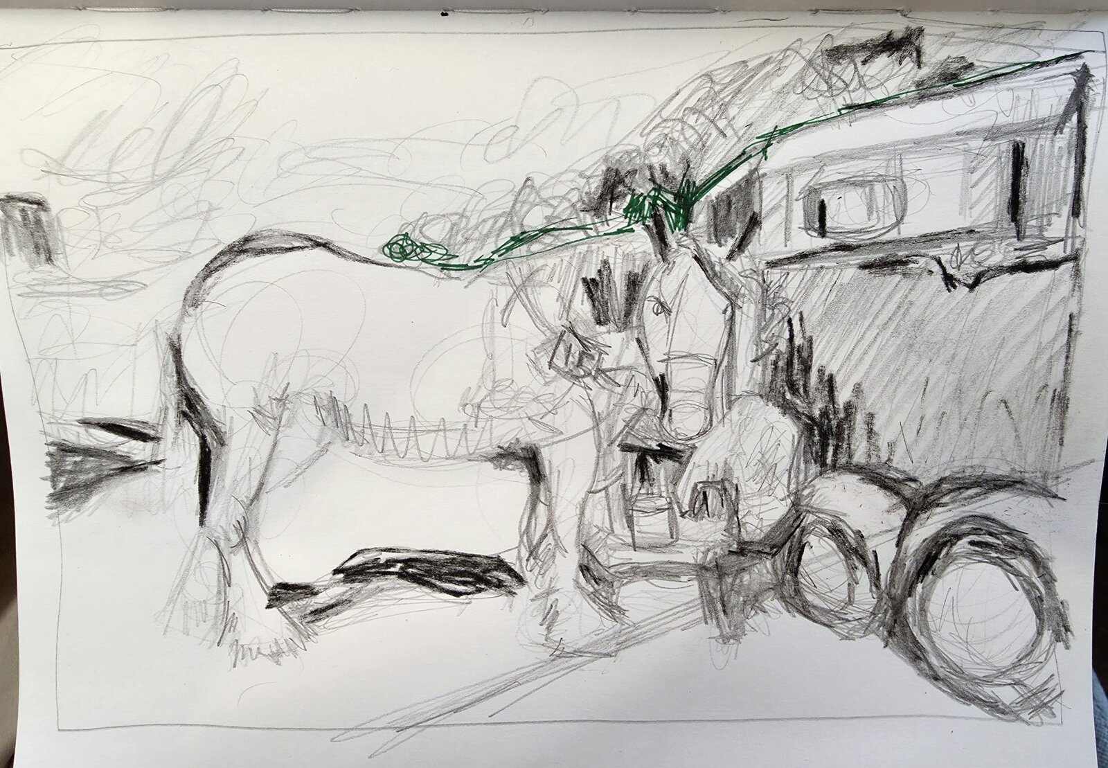 Sketch of a young Shire horse at the Honley Show focusing on form and stance.