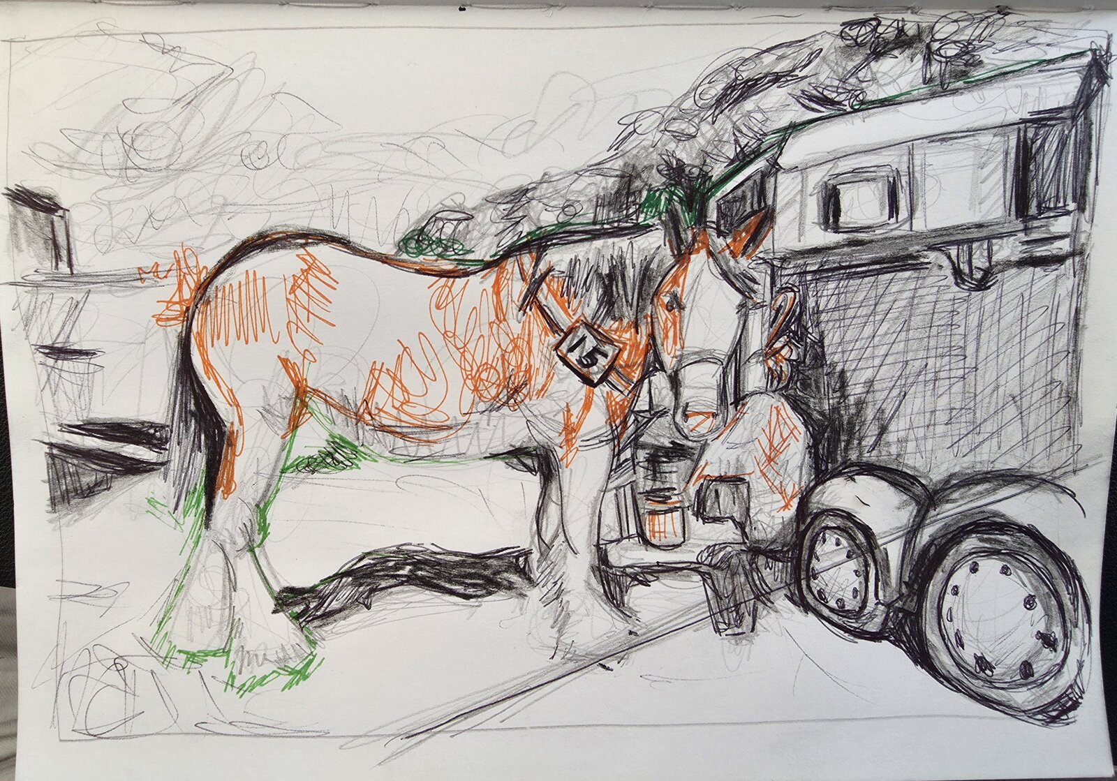 Young Shire Horse at the Honley Show - Additional   sketch of a young Shire horse at the Honley Show with strong contour lines and tonal shading.
